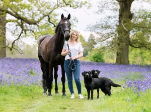 equine portrait bluebell photoshoot